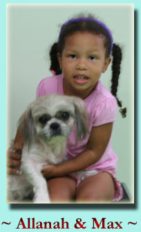  ~ Allanah & Max ~ Shih Tzu